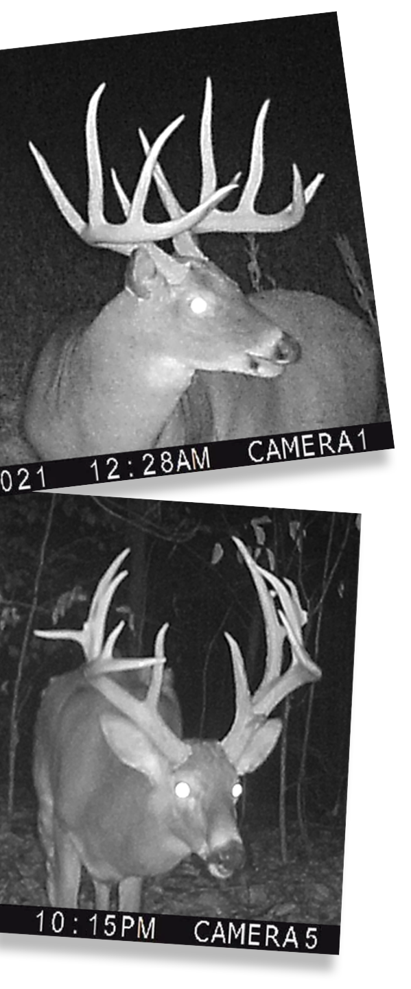 2_WelcomePic_DeerPicsLeft